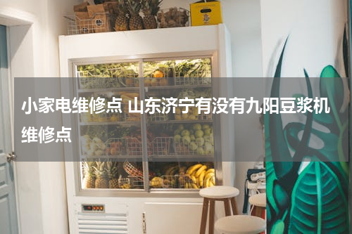 小家电维修点 山东济宁有没有九阳豆浆机维修点