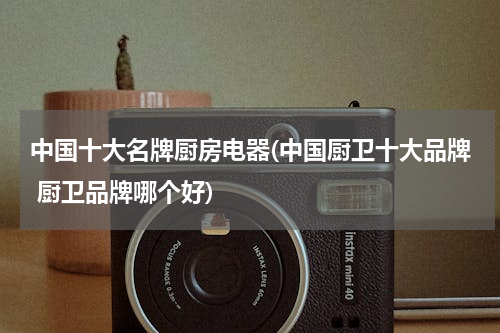 中国十大名牌厨房电器(中国厨卫十大品牌 厨卫品牌哪个好)