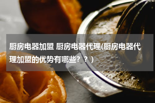 厨房电器加盟 厨房电器代理(厨房电器代理加盟的优势有哪些？？)