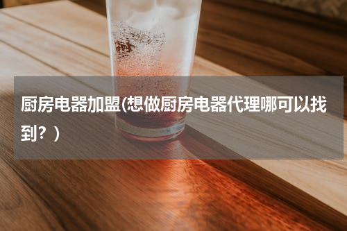 厨房电器加盟(想做厨房电器代理哪可以找到？)