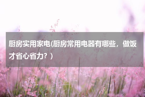 厨房实用家电(厨房常用电器有哪些，做饭才省心省力？)