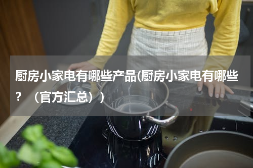 厨房小家电有哪些产品(厨房小家电有哪些？（官方汇总）)