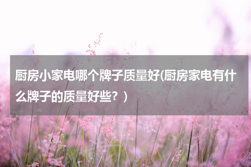 厨房小家电哪个牌子质量好(厨房家电有什么牌子的质量好些？)
