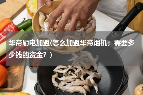 华帝厨电加盟(怎么加盟华帝烟机，需要多少钱的资金？)