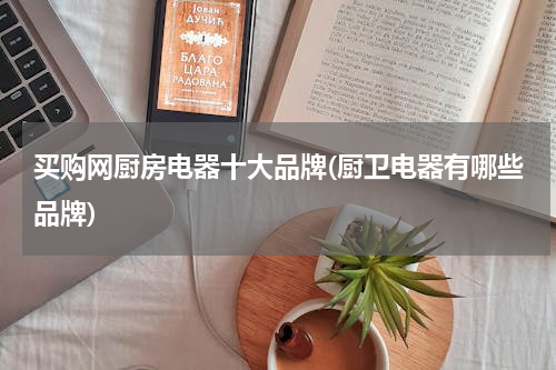 买购网厨房电器十大品牌(厨卫电器有哪些品牌)