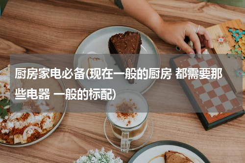 厨房家电必备(现在一般的厨房 都需要那些电器 一般的标配)
