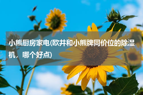 小熊厨房家电(欧井和小熊牌同价位的除湿机，哪个好点)