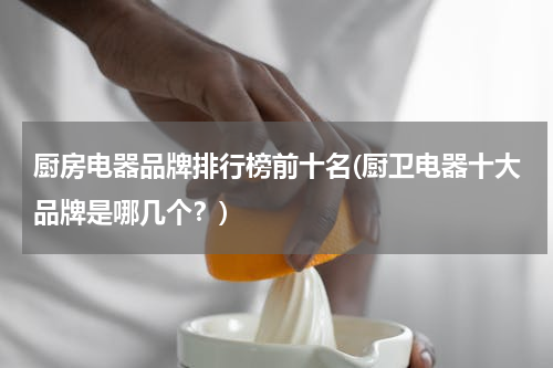 厨房电器品牌排行榜前十名(厨卫电器十大品牌是哪几个？)