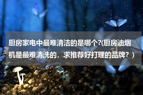 厨房家电中最难清洁的是哪个?(厨房油烟机是最难清洗的，求推荐好打理的品牌？)