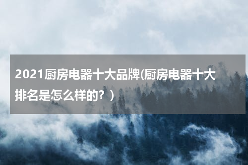 2021厨房电器十大品牌(厨房电器十大排名是怎么样的？)