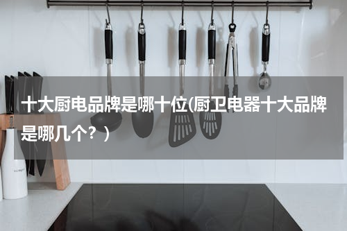 十大厨电品牌是哪十位(厨卫电器十大品牌是哪几个？)