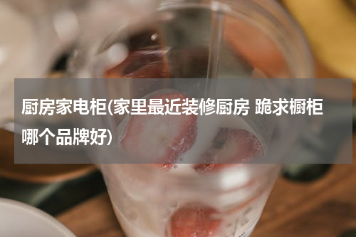 厨房家电柜(家里最近装修厨房 跪求橱柜哪个品牌好)