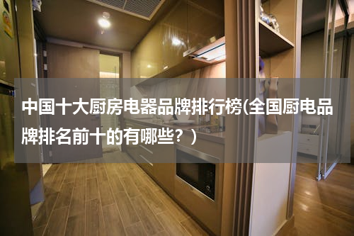 中国十大厨房电器品牌排行榜(全国厨电品牌排名前十的有哪些？)