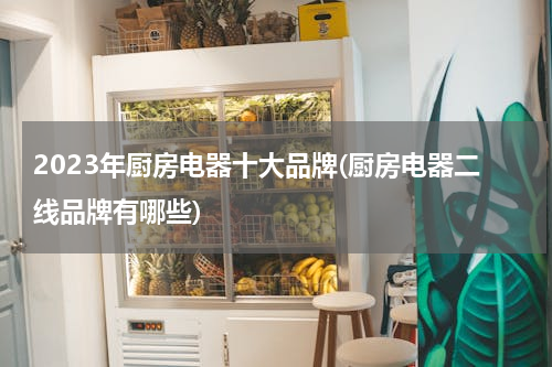 2023年厨房电器十大品牌(厨房电器二线品牌有哪些)