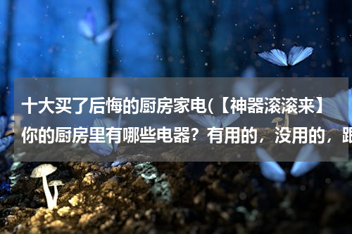 十大买了后悔的厨房家电(【神器滚滚来】你的厨房里有哪些电器？有用的，没用的，跟风买的...快来扒一扒)