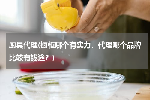 厨具代理(橱柜哪个有实力，代理哪个品牌比较有钱途？)