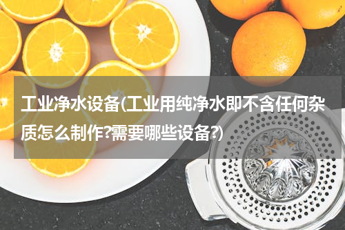 工业净水设备(工业用纯净水即不含任何杂质怎么制作?需要哪些设备?)