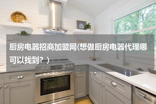 厨房电器招商加盟网(想做厨房电器代理哪可以找到？)