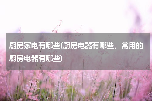 厨房家电有哪些(厨房电器有哪些，常用的厨房电器有哪些)