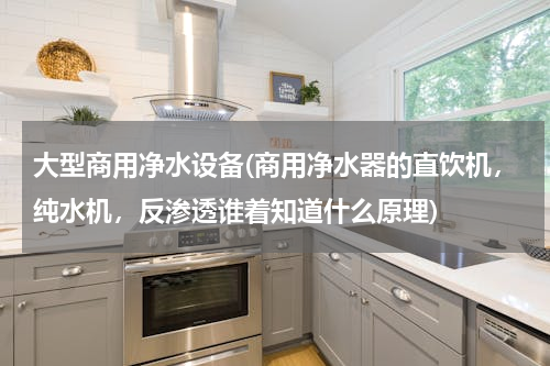 大型商用净水设备(商用净水器的直饮机，纯水机，反渗透谁着知道什么原理)