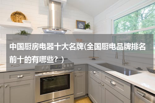 中国厨房电器十大名牌(全国厨电品牌排名前十的有哪些？)