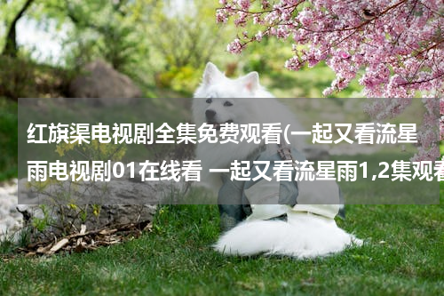 红旗渠电视剧全集免费观看(一起又看流星雨电视剧01在线看 一起又看流星雨1,2集观看 一起又看流星雨全集在线观看)