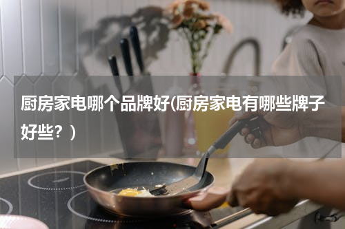 厨房家电哪个品牌好(厨房家电有哪些牌子好些？)