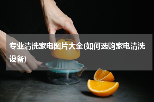专业清洗家电图片大全(如何选购家电清洗设备)