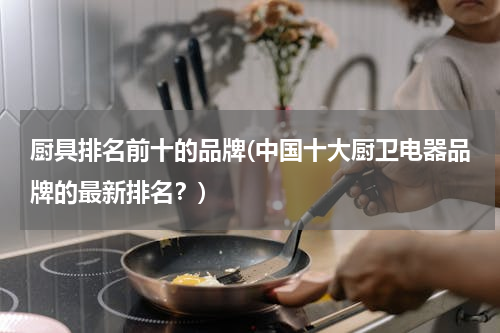 厨具排名前十的品牌(中国十大厨卫电器品牌的最新排名？)