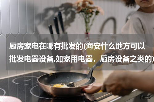 厨房家电在哪有批发的(海安什么地方可以批发电器设备,如家用电器，厨房设备之类的)