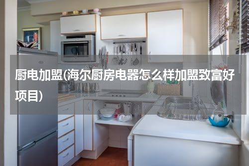 厨电加盟(海尔厨房电器怎么样加盟致富好项目)