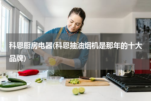 科恩厨房电器(科恩抽油烟机是那年的十大品牌)