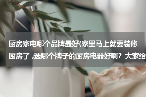 厨房家电哪个品牌最好(家里马上就要装修厨房了 ,选哪个牌子的厨房电器好啊？大家给推荐一下?)