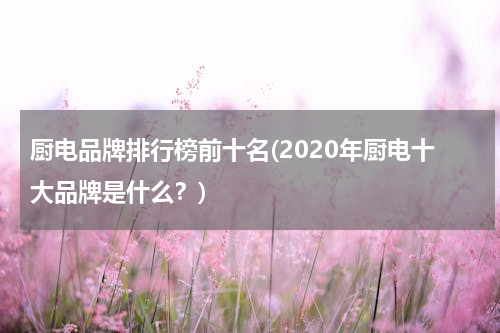 厨电品牌排行榜前十名(2020年厨电十大品牌是什么？)