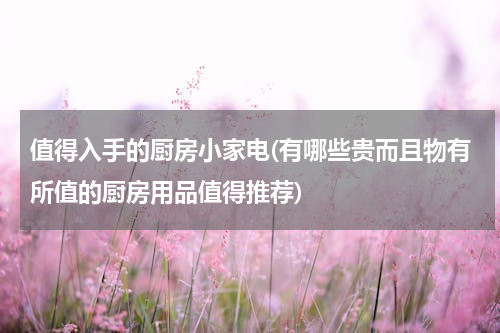 值得入手的厨房小家电(有哪些贵而且物有所值的厨房用品值得推荐)