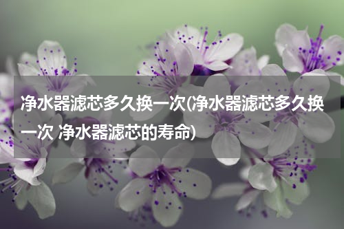 净水器滤芯多久换一次(净水器滤芯多久换一次 净水器滤芯的寿命)
