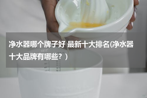 净水器哪个牌子好 最新十大排名(净水器十大品牌有哪些？)