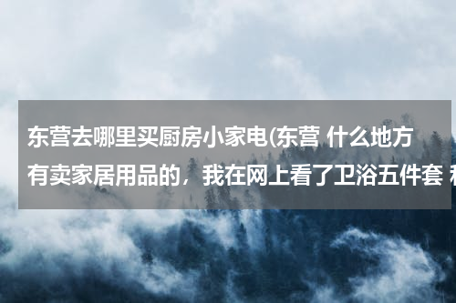 东营去哪里买厨房小家电(东营 什么地方有卖家居用品的，我在网上看了卫浴五件套 和 陶瓷厨具，感觉很漂亮)