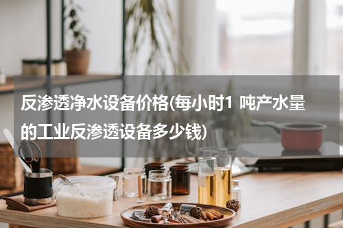 反渗透净水设备价格(每小时1 吨产水量的工业反渗透设备多少钱)