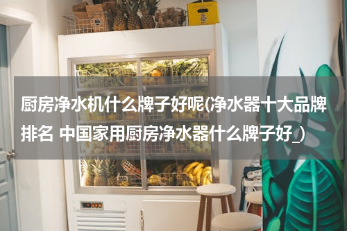 厨房净水机什么牌子好呢(净水器十大品牌排名 中国家用厨房净水器什么牌子好_)