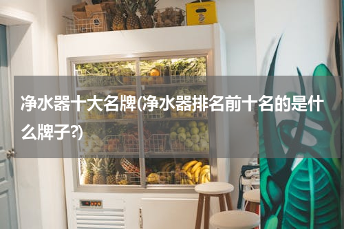 净水器十大名牌(净水器排名前十名的是什么牌子?)