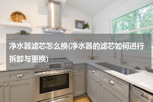净水器滤芯怎么换(净水器的滤芯如何进行拆卸与更换)