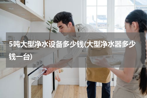 5吨大型净水设备多少钱(大型净水器多少钱一台)