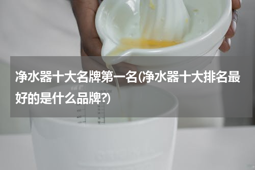 净水器十大名牌第一名(净水器十大排名最好的是什么品牌?)