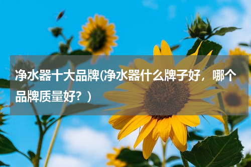 净水器十大品牌(净水器什么牌子好，哪个品牌质量好？)