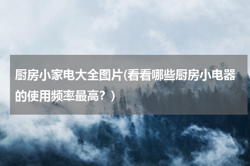 厨房小家电大全图片(看看哪些厨房小电器的使用频率最高？)