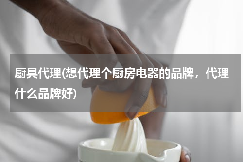 厨具代理(想代理个厨房电器的品牌，代理什么品牌好)