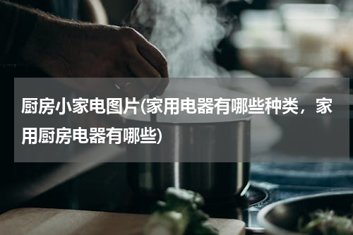 厨房小家电图片(家用电器有哪些种类，家用厨房电器有哪些)