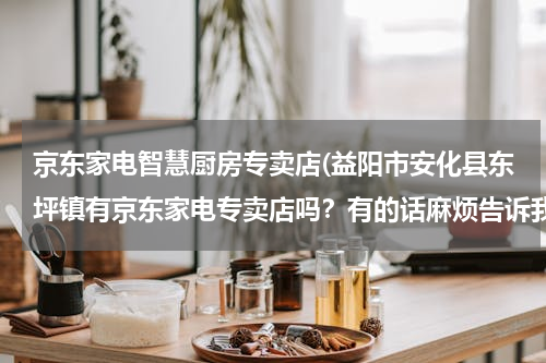 京东家电智慧厨房专卖店(益阳市安化县东坪镇有京东家电专卖店吗？有的话麻烦告诉我在哪里？)
