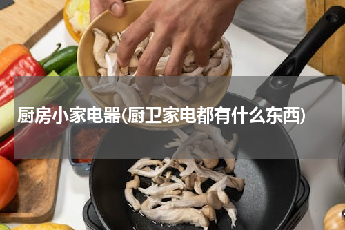 厨房小家电器(厨卫家电都有什么东西)